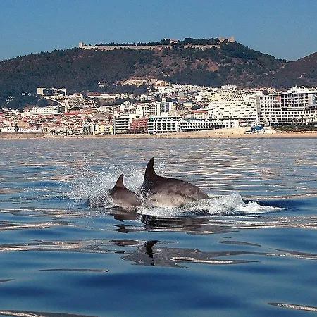 Bed and breakfast De Sol