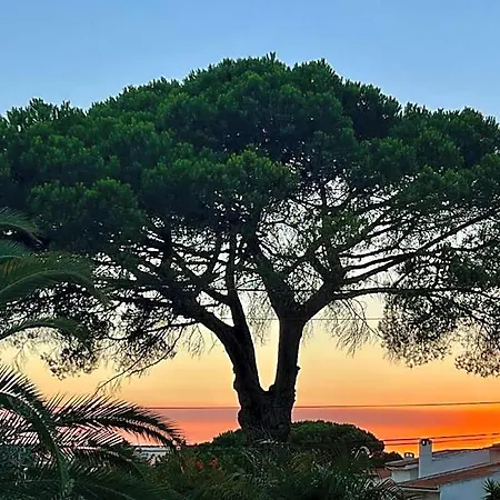 De Sol Alojamento de Acomodação e Pequeno-almoço 4*