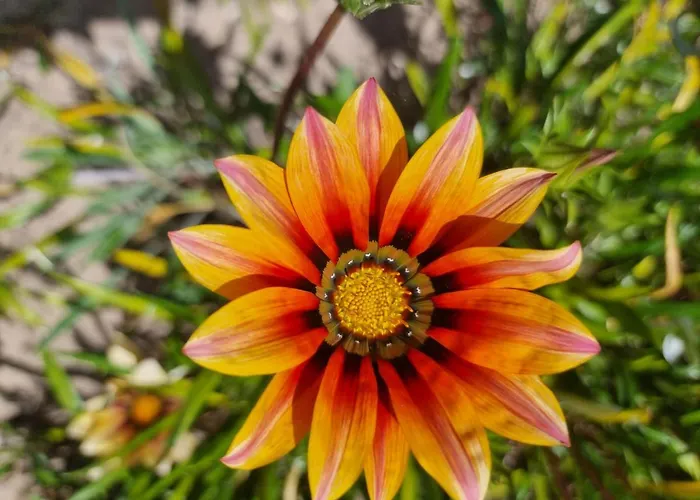 De Sol Bed and Breakfast