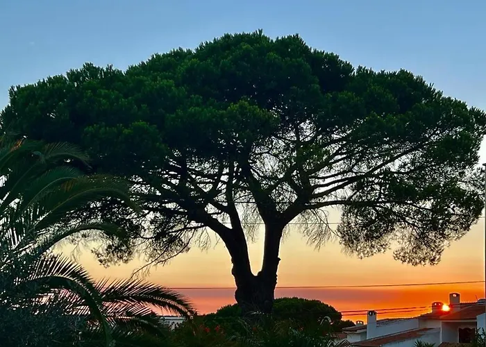 Bed and Breakfast De Sol 4*