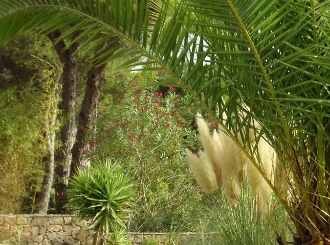 De Sol 4* Σεσίμπρα