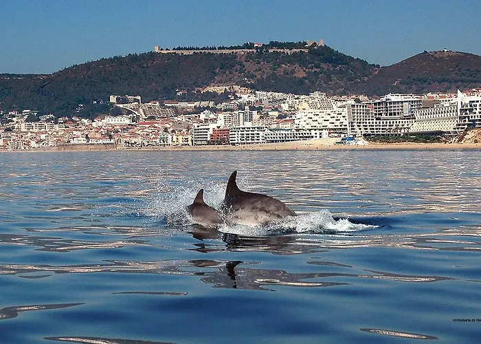 Bed and Breakfast De Sol